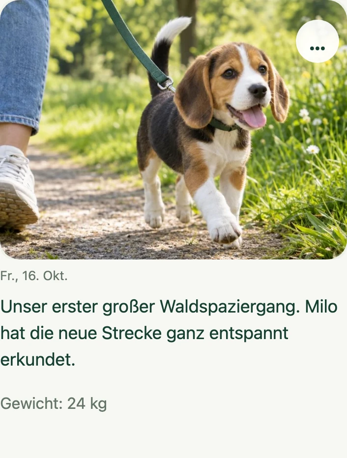 Echter Tagebucheintrag für Beispielhund Milo: Waldspaziergang mit Foto und Gewicht