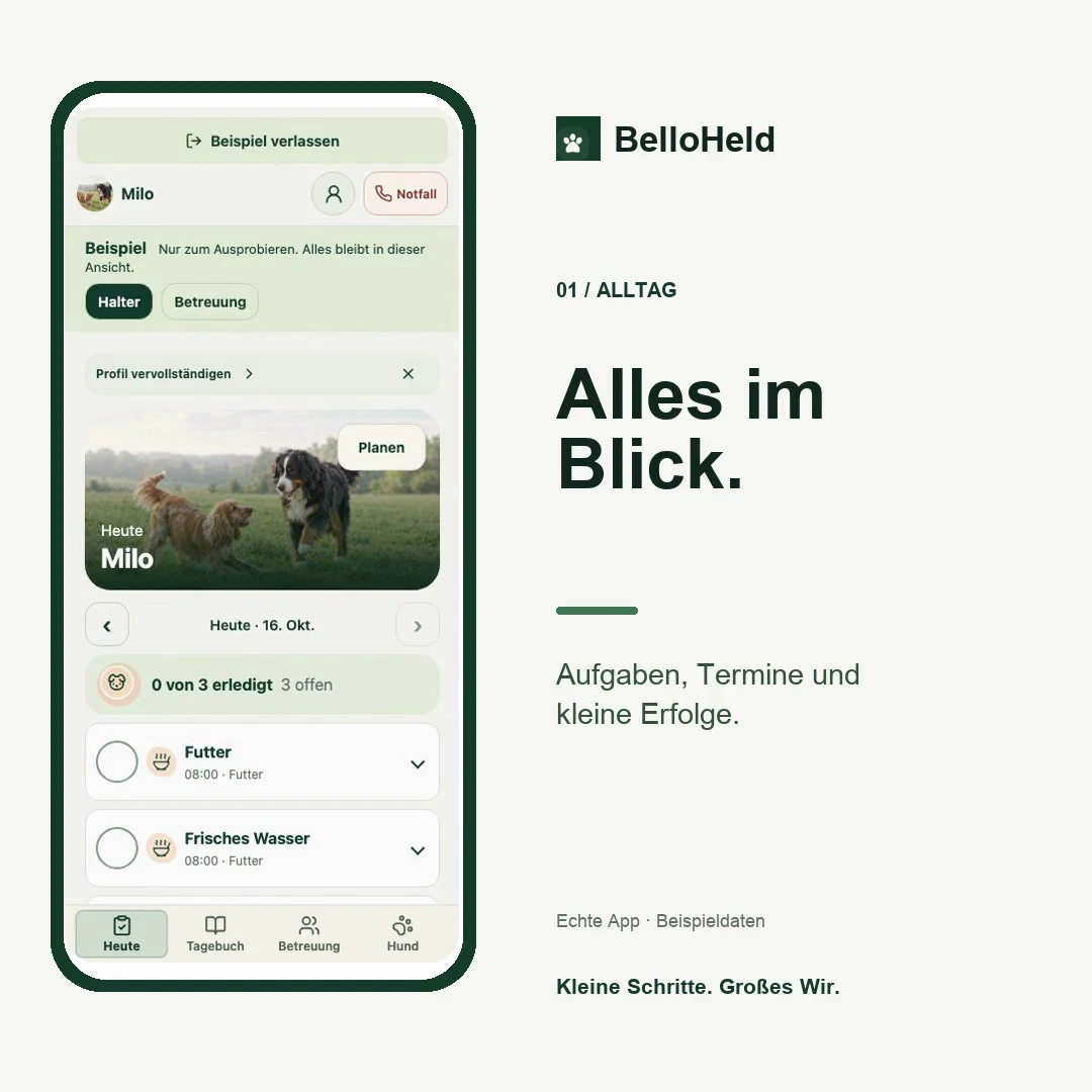 Vorschau: Tagesaufgaben in BelloHeld